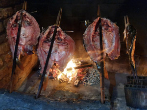 488231594 29827529320167569 1692000763509840938 n 